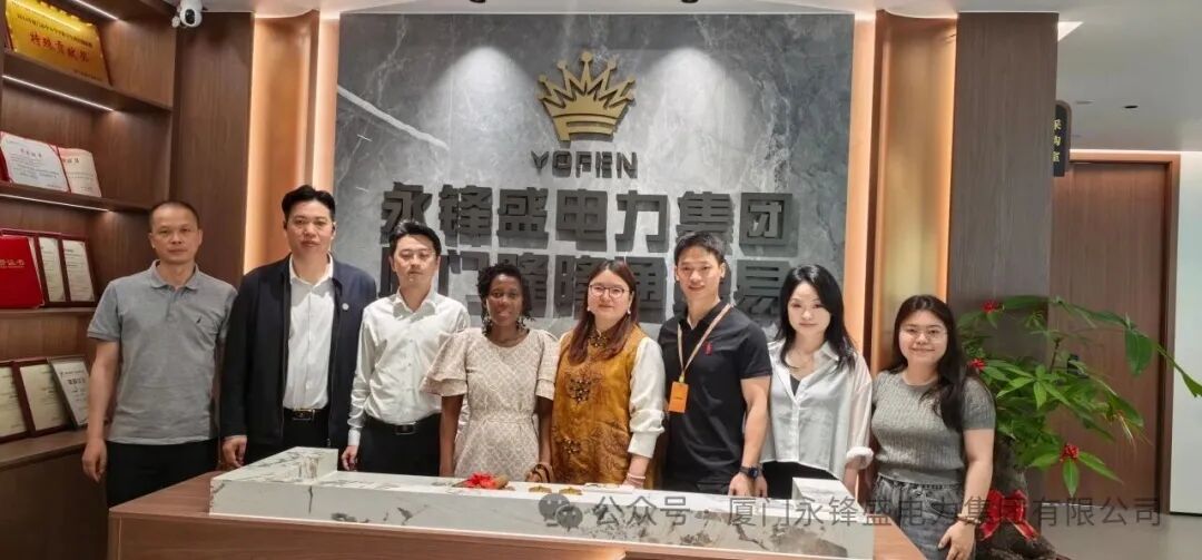 联合国采购促进会莅临我司考察